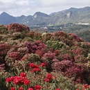 毕节旅游 缩略图 2
