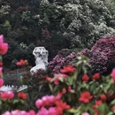 遵义旅游 缩略图 4