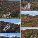 毕节旅游 缩略图 1