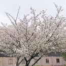 宁波旅游 缩略图 6