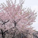 宁波旅游 缩略图 5