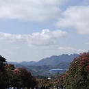 毕节旅游 缩略图 3