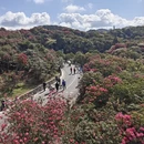 毕节旅游 缩略图 4