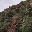 毕节旅游 缩略图 12