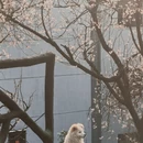 宁波旅游 缩略图 4