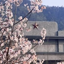 宁波旅游 缩略图 3