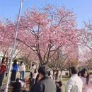 宁波旅游 缩略图 6