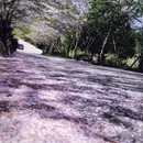 宁波旅游 缩略图 1