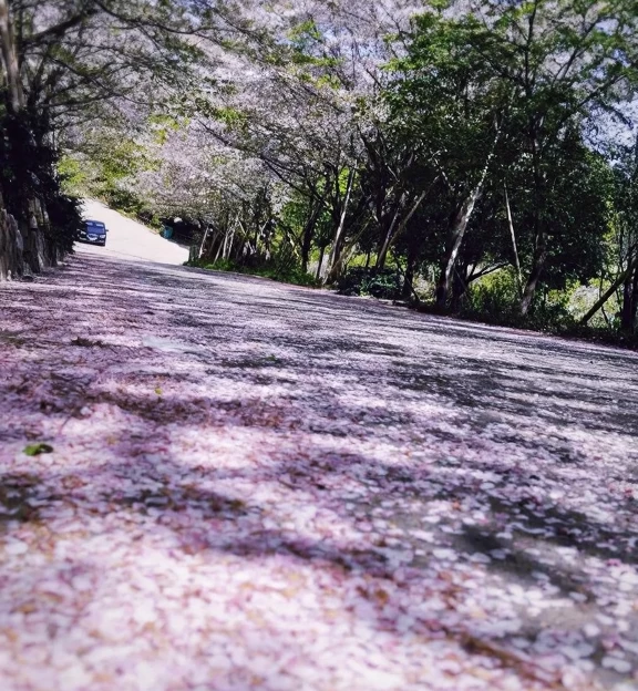 宁波旅游 1