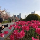 宁波旅游 缩略图 13