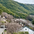 宁波旅游 缩略图 5