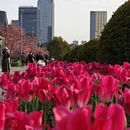 宁波旅游 缩略图 14
