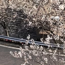 宁波旅游 缩略图 14