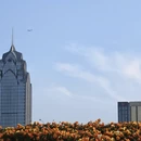 宁波旅游 缩略图 16