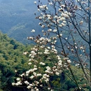 宁波旅游 缩略图 7