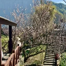 宁波旅游 缩略图 8