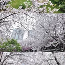 宁波旅游 缩略图 3