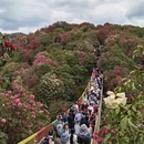 毕节旅游 缩略图 14