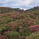 毕节旅游 缩略图 15