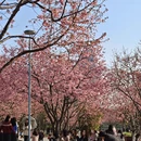 宁波旅游 缩略图 7