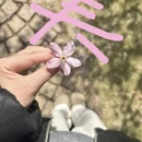 宁波旅游 缩略图 1