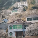 宁波旅游 缩略图 6