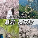 宁波旅游 缩略图 1