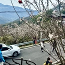 宁波旅游 缩略图 9