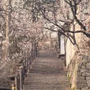 宁波旅游 缩略图 15