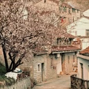 宁波旅游 缩略图 16