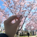 宁波旅游 缩略图 12