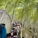 宁波旅游 缩略图 10