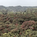 毕节旅游 缩略图 4