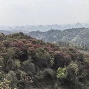 毕节旅游 缩略图 6