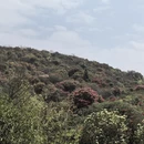 毕节旅游 缩略图 5
