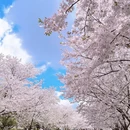 宁波旅游 缩略图 6