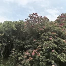 毕节旅游 缩略图 10