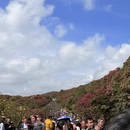 毕节旅游 缩略图 2