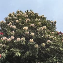 毕节旅游 缩略图 11