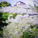 宁波旅游 缩略图 5