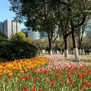 宁波旅游 缩略图 13