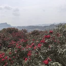 毕节旅游 缩略图 12