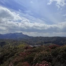 毕节旅游 缩略图 3