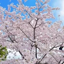 宁波旅游 缩略图 14