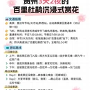 毕节旅游 缩略图 4
