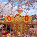 宁波旅游 缩略图 16