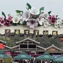 遵义旅游 缩略图 1