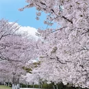 宁波旅游 缩略图 18