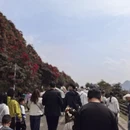 毕节旅游 缩略图 13