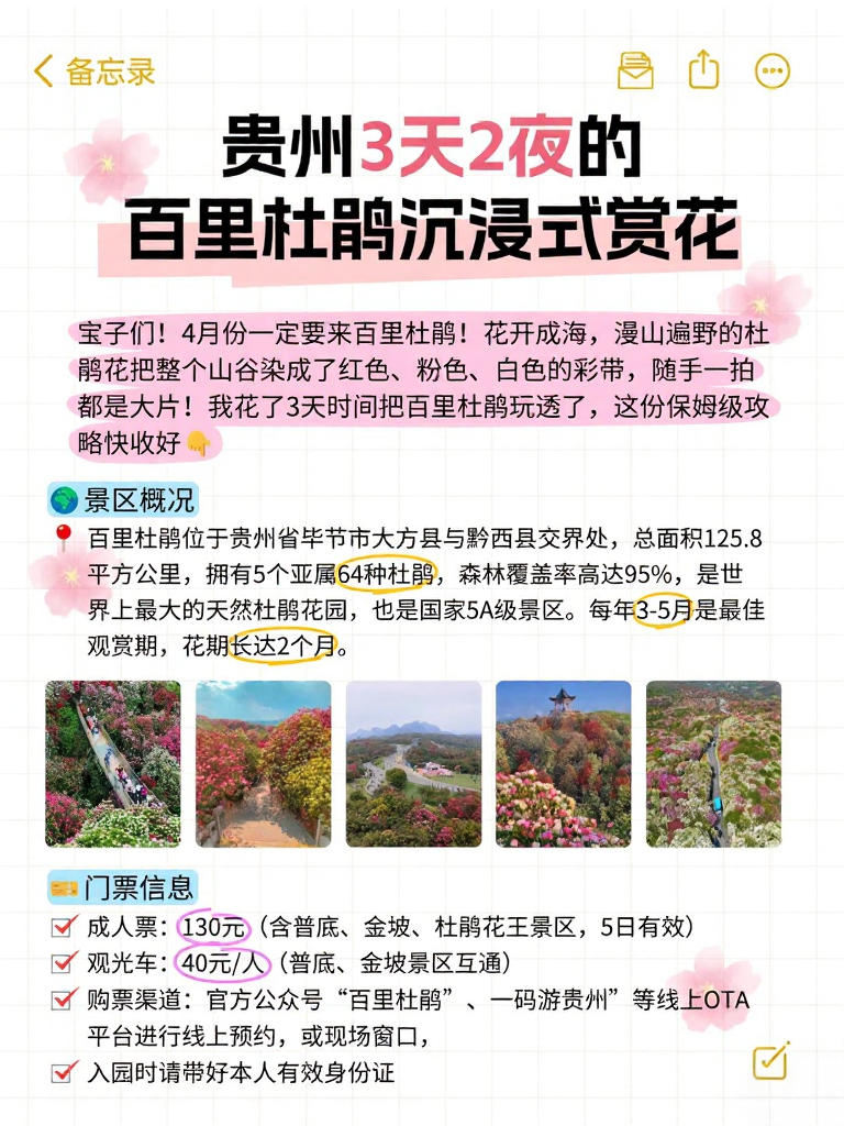 毕节旅游